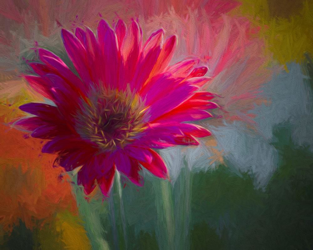 Cyndy Thorn: Painted Gerbera